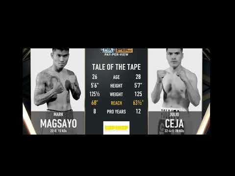 magsayo vs ceja highlights nock down