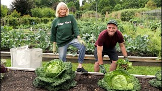 Miracle-Gro Martha's August Newsletter