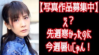 【写真作品募集中】え？先週寒かったのに今週暑いじゃん！