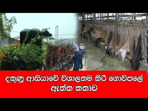 Ridiyagama / Fazenda Ridiyagama #LankaLive