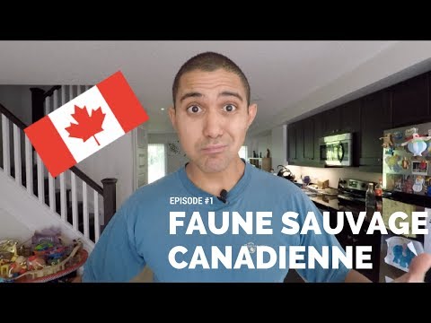 Canada