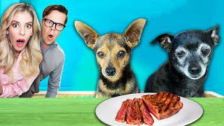 Leaving Our Dog Alone With a Juicy Steak and Eggs - PawZam Dogs