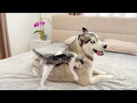 YouTube 썸네일