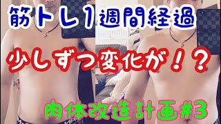 【筋トレ】ベル坊の肉体改造計画#3 　筋トレ1週間経過…少しずつ変化が生まれる