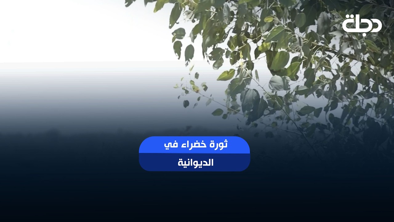 فيديو | ثورة خضراء في الديوانية.. طاقة متجددة بديلة لإنهاء التلوث وتحقيق التغيير البيئي