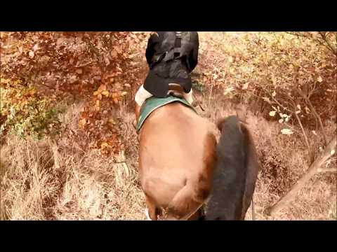 Reitjagd Martinice - Drahenice 2017