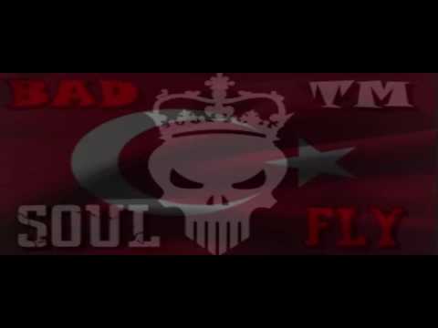 SOULFLY NEW İNTRO :3