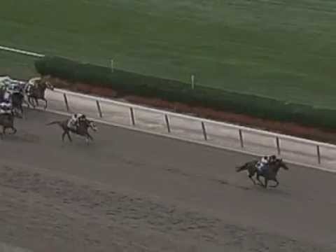 2003 Vosburgh Stakes - Ghostzapper