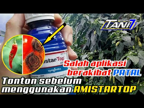 The most effective Patek (ANTRAKNOSE) medicine in one spray - AMISTARTOP 325 SC SPECIFICATIONS | ...