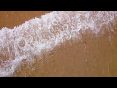 5K Madagascar Wildlife   Incredible Nature and Wildlife of Madagascar