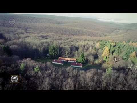 M5 Lexikon   Alpokalja   2017 03 30 i adás