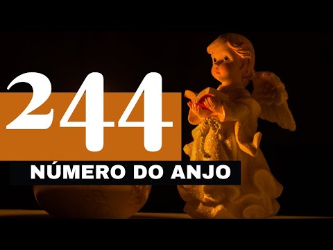 Vídeo: Significado 244: perguntas e respostas sobre o número