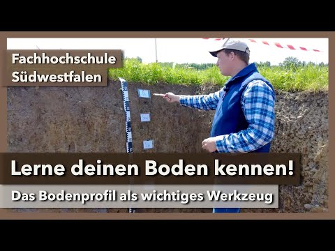 Lerne deinen Boden kennen! Das Bodenprofil als Werkzeug | FH Südwestfalen | SoilEvolution 2021