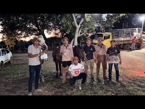 Bolão de Pega de Boi no Mato Fazenda Amastempo ius Brasileira Pi 