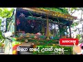 Mage Hade Upan Lade Remix Suranganawi Bus