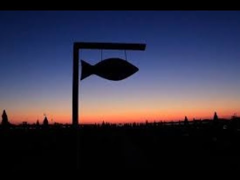 Saracca - Bolognina Roots Family