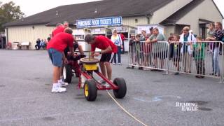 preview picture of video 'Oley Fair Pedal Tractor Pull'