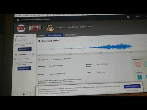 The General Series 6000 Sound Effects Library Cow Moo Sound Effects