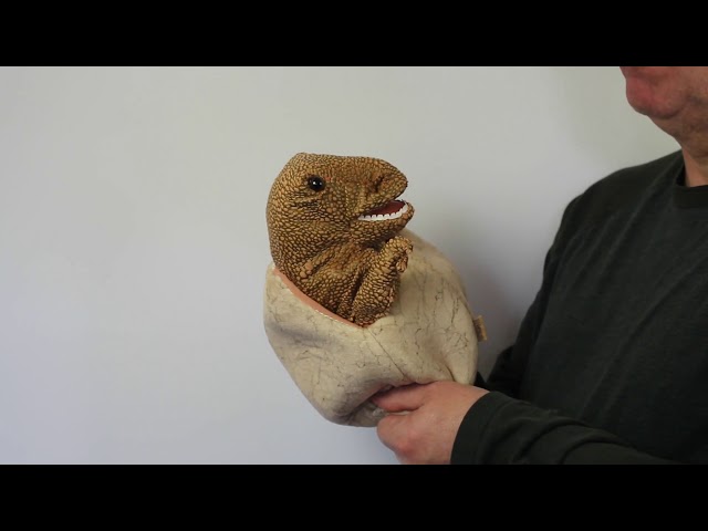 Video teaser for 3134 Dinosaur Egg / Dinosaurier im Ei Handpuppe   -   FOLKMANIS-PUPPETS