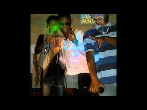 Os Danadinhos bora baratina bb