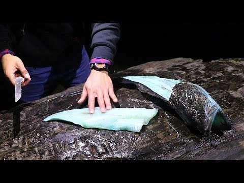 download lagu mp3 mp4 What Does Lingcod Taste Like, download lagu What Does Lingcod Taste Like gratis, unduh video klip What Does Lingcod Taste Like