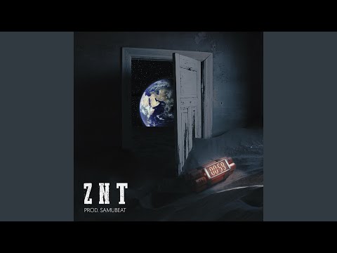 ZNT