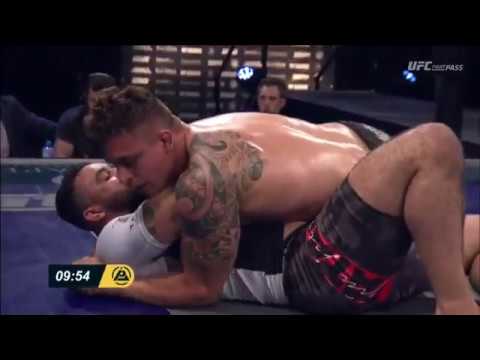 Polaris 10 WEB DL H264 FB