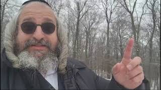 *שביבי אור* לקבוצת החברים ממנצ'סטר – קשר יום יומי עם *מוהר"ן מברסלב* זי"ע ועכי"א  – 46 (הרב מוטה פראנק) - התמונה מוצגת ישירות מתוך אתר האינטרנט יוטיוב. זכויות היוצרים בתמונה שייכות ליוצרה. קישור קרדיט למקור התוכן נמצא בתוך דף הסרטון