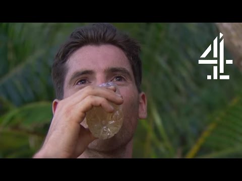 Top Tips on How to Survive on a Desert Island | The Island with Bear Grylls