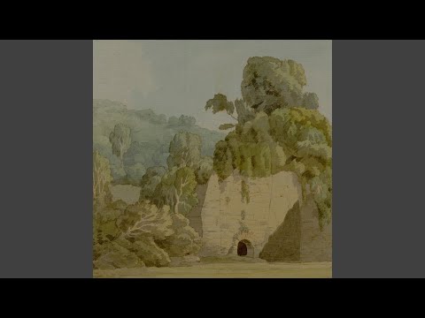 Fireflies and the Stars