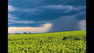 Confira a Previsão do Tempo para o final de semana ⛈️🌤🌡🔥