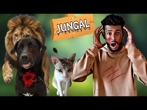 CHOTU WELLY DANGER ZOO TRIP | DANGER ANIMALS AATACK ON WELY #mrdhanno