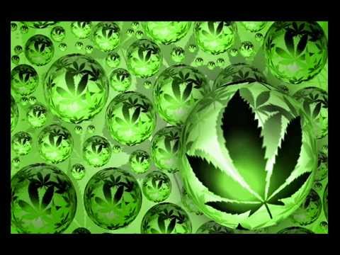 Fredi X - Še en kanc terana