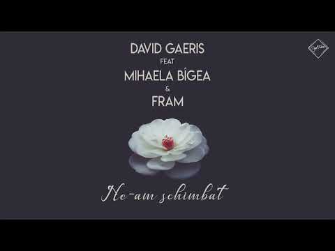 David Gaeris – Ne-am schimbat Video