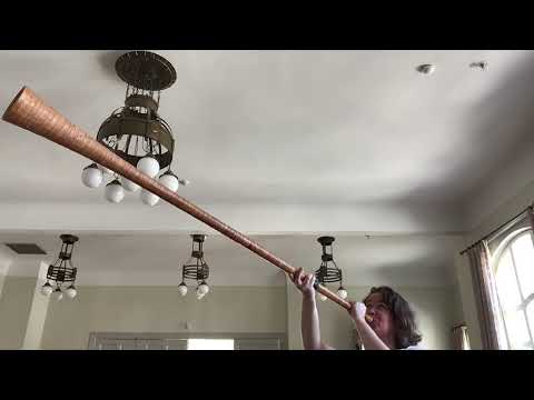 The theme from the movie Lightyear on näverlur