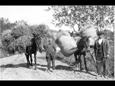 Rita Botto e Banda di Avola - Terra ca nun senti