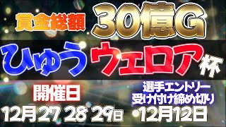 ひゅうウェロアの大感謝際ドラフトミラー枠【ドラクエ10コロシアム】