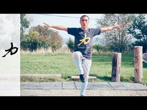 20 Mins Re-Energising Kung Fu Workout -🍀 - Qi Gong Breathing, Yi jin Jing,  Ba Duan Jin & Kung Fu