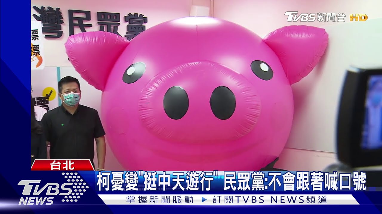 國民黨反萊豬! 設計5公尺巨型粉紅豬上街