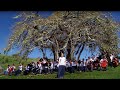 Amazing Grace