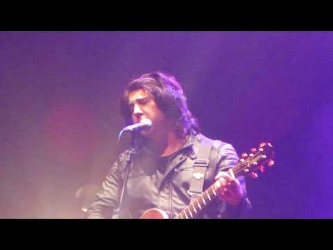 Floresta de Bétulas,  Loop Session Friends 2017