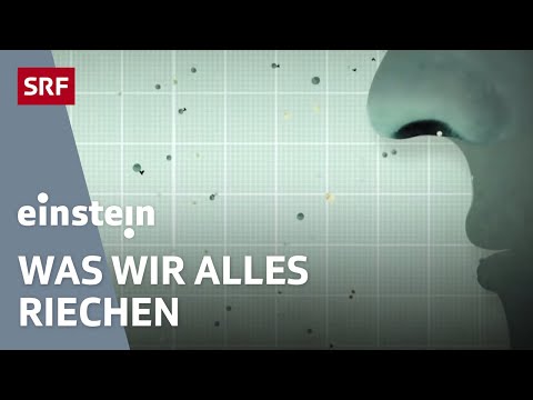 Unser Geruchssinn – Wie Düfte unser Leben beeinflussen | Einstein | SRF Wissen