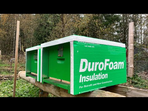 Insulating the honeybees for winter