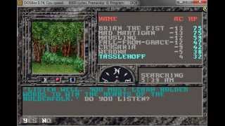 Let's Play Dark Queen of Krynn [DE] 37 Lost in the Woods