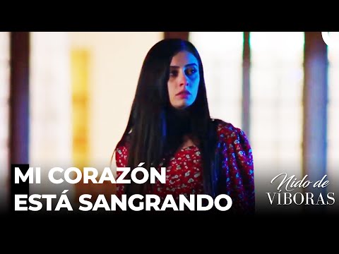 Elvan Está Al Borde Del Suicidio - Nido De Víboras