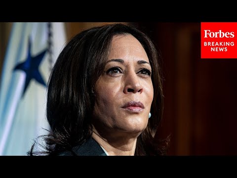 Vice President Kamala Harris Speaks At DNC Town Hall After Voting Rights Bill Fails In Senate