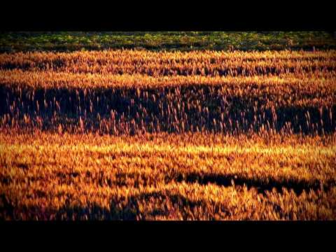 Szigetszentmiklós   Egy perc Magyarország