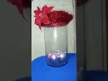 Satisfying Red and Pink Christmas Balls #shorts  #viralvideo  #trendingshorts  #christmas