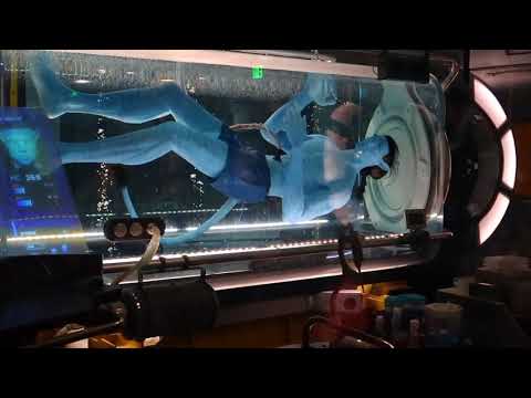 First Time on Flight of Passage!