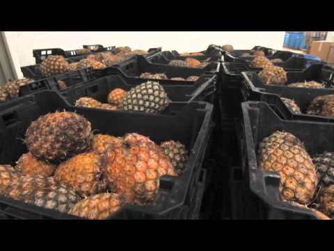 News Channel Morning Edition: Dec. 18, 2013